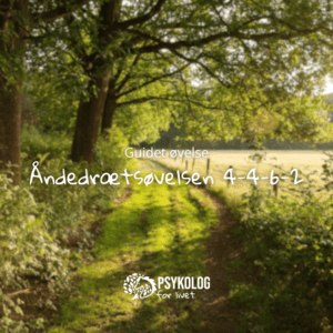 Guidet øvelse – Åndedrætsøvelsen 4-4-6-2