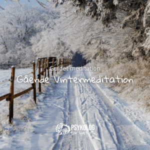 Guidet meditation – Gående Vintermeditation