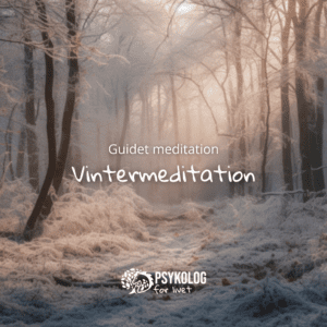 Guidet meditation – Vintermeditation