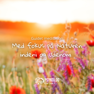 Guidet meditation – Meditation med fokus på Naturen indeni og udenom