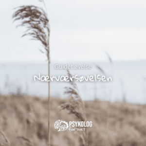 Guidet øvelse – Nærværsøvelsen