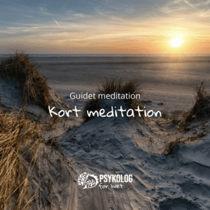 Guidet meditation – Kort meditation