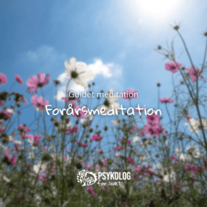 Guidet Forårsmeditation