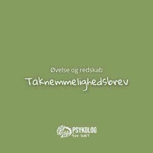 Taknemmelighedsbrev (e-bog)