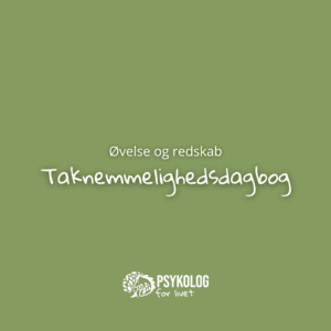 Taknemmelighedsdagbog (e-bog)